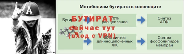 apvp Гусиноозёрск