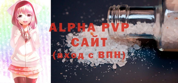 apvp Гусиноозёрск