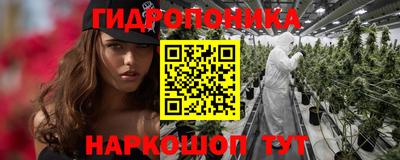 дмт Камышлов