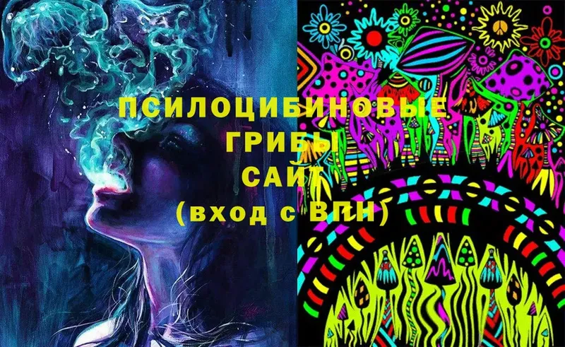 цена   Курчатов  Галлюциногенные грибы MAGIC MUSHROOMS 