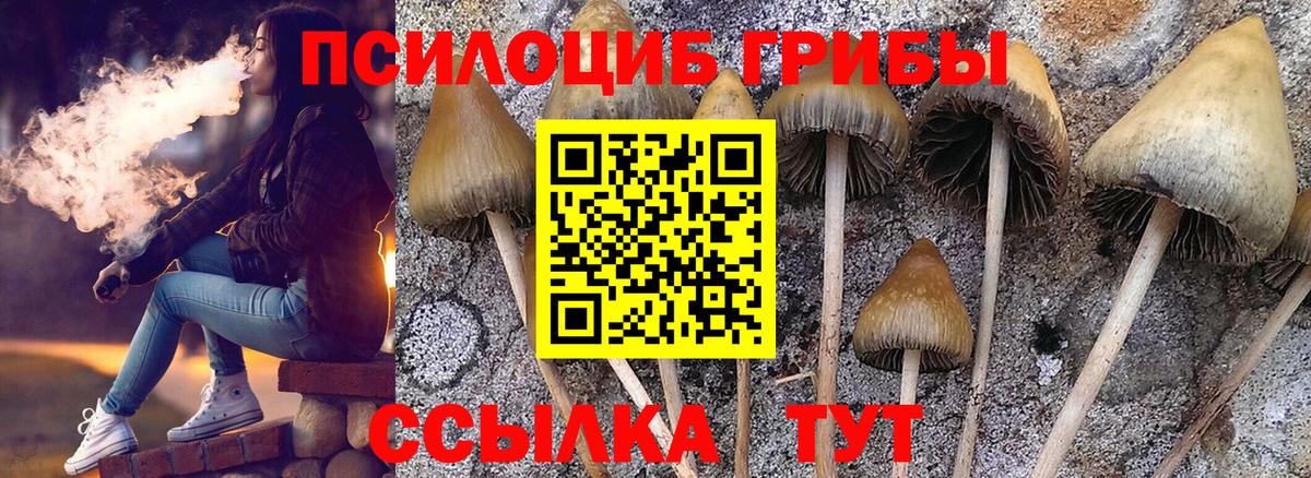 Галлюциногенные грибы MAGIC MUSHROOMS Курчатов