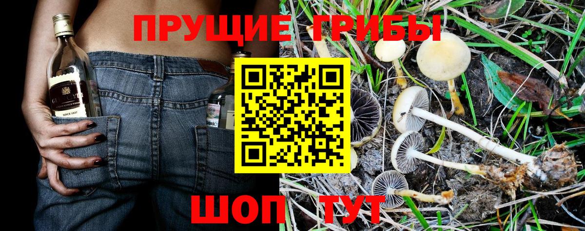 Конопля  ЛЁД  COCAIN  Меф  Марки ЛСД  МАРИХУАНА  Гашиш  XTC  Вход с VPN  Курчатов  Гашиш 